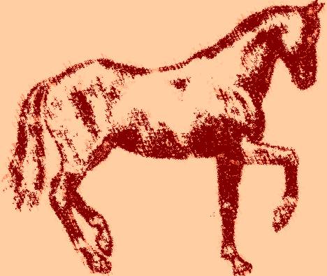 Pferd gezeichnet